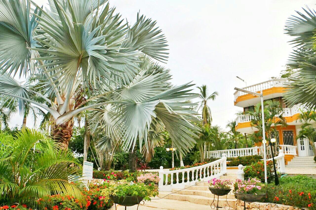 Eco Hotel Villa Martha Turbaco Exterior foto
